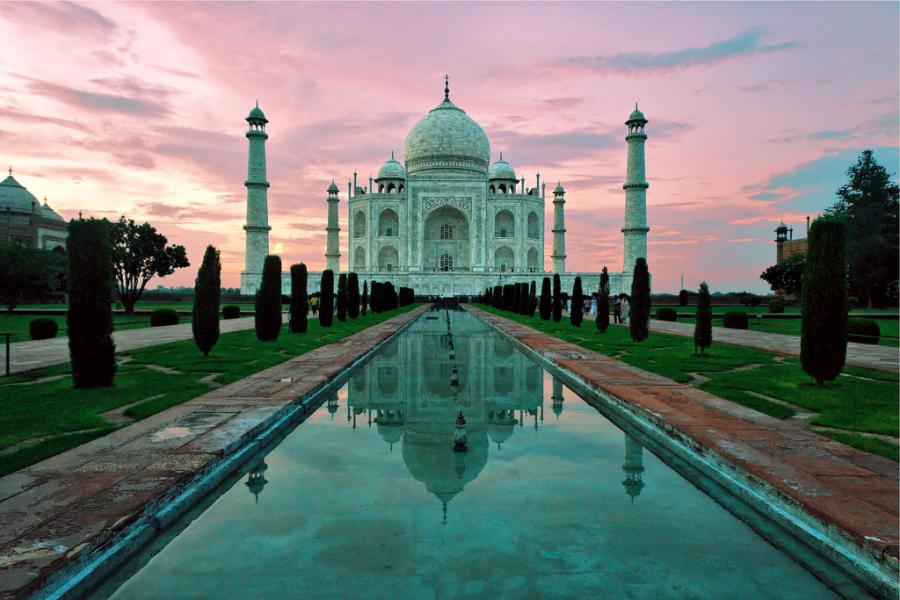 The Taj Mahal in India is turning green or mosquitoes have increased due to serious pollution in nearby rivers.jpg