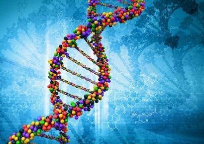 my country's first national gene bank started trial operation in Shenzhen.jpg