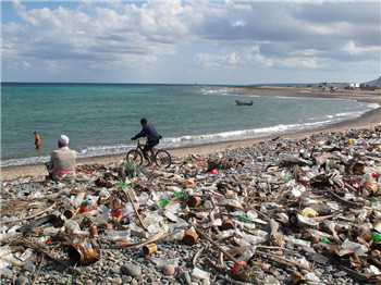 Pile of rubbish on the beach Hong Kong people suspect that it is from Guangdong.jpg
