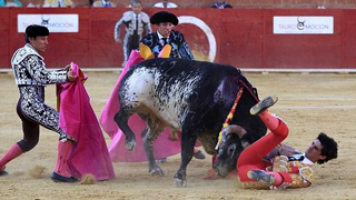 The Spanish bullfighter was stabbed to death. The whole process was broadcast live on TV.jpg