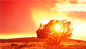 NASA said the global temperature will reach a new high this year.jpg