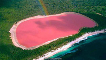 An incredible natural phenomenon in the world: The Pink Lake of Hillier, Australia.jpg