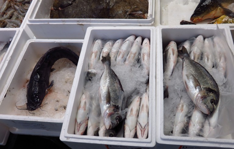为什么退欧对英国水产捕捞业来说是一件好事?