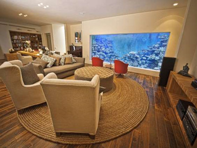 Build a giant fish tank at home, just to swim with the fish.jpg