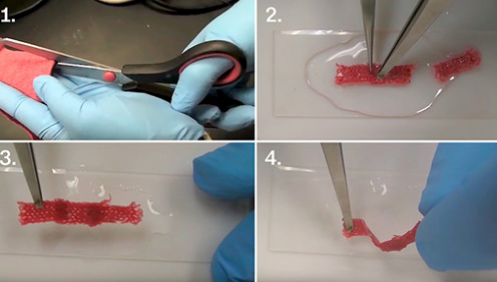 Amazing! New fabric can heal itself when it meets water after torn! .jpg