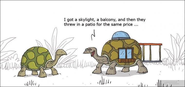 乌龟对话