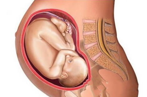 湖南女子怀孕17个月未分娩 已经创造吉尼斯纪录