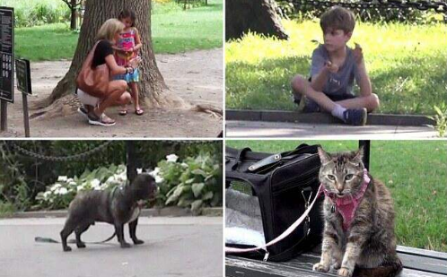 国外街头实验 男孩女孩猫狗被抛弃你先救谁?