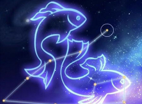 Pisces Daily Horoscope—8.30.jpg