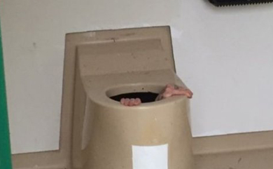 The guy helped a friend get his mobile phone and got stuck in the toilet.jpg