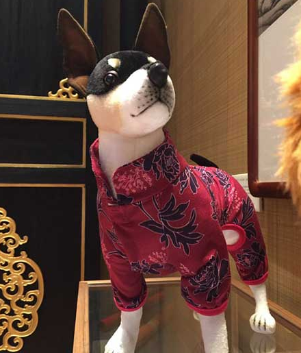 The Palace Museum launches palace elements, dog clothes, and dogs have a royal style.jpg
