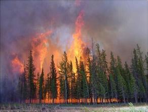 森林火灾或为加拿大经济下滑的罪魁祸首