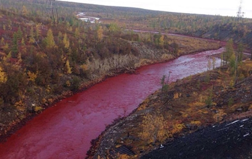 Serious mining pollution A river in Russia turned blood red.jpg