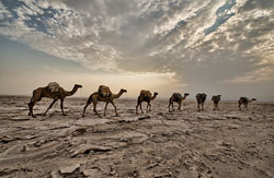 The hottest place in the world, the Danakil Desert .jpg