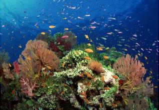 China adds 9 new national marine parks to promote marine ecological protection.jpg