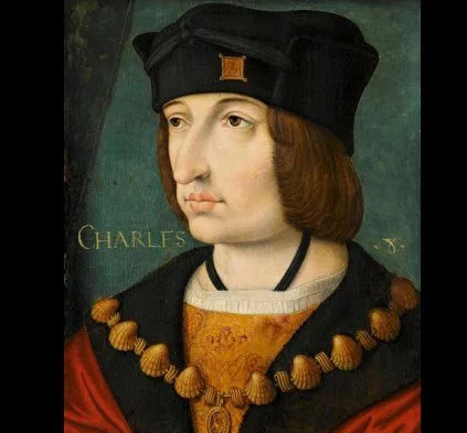 查尔斯八世