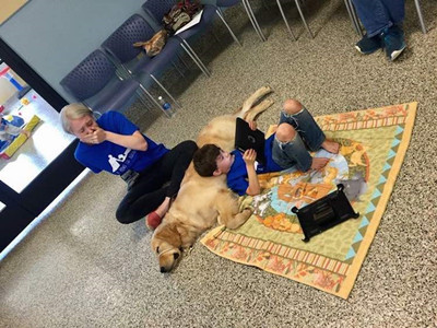 The mother of a child with autism was moved to tears when she saw her child interacting with the service dog.jpg