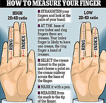 Finger length reveals a person's personality and talents.jpg