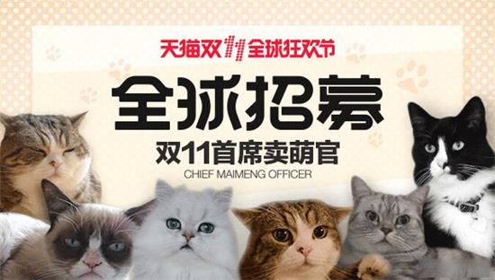 天猫双11将选一只猫担任“首席卖萌官”.jpg