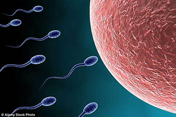 Major breakthroughs in male contraceptives.jpg