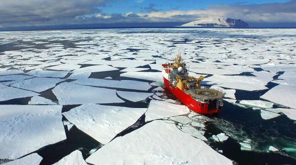 南极划设全球最大海洋保护区 区内禁止捕鱼35年