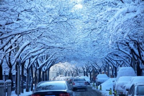 Get ready! The coldest winter is coming this year! .jpg