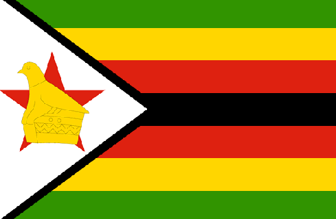 A Chinese man was fined US$20 for selling the national flag in Zimbabwe.jpg