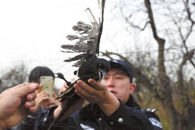 Beijing police seized illegal restaurants and rescued more than 1,000 wild birds.jpg