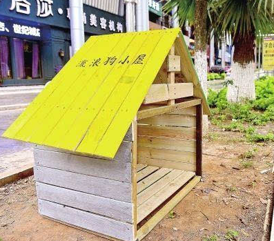 A "stray dog ​​hut" appeared in a community in Kunming, Yunnan. Some people liked it and some were worried.jpg