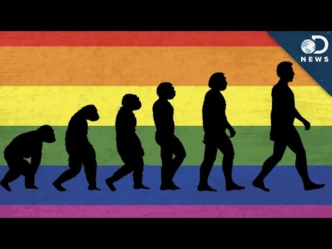 同性恋的演化