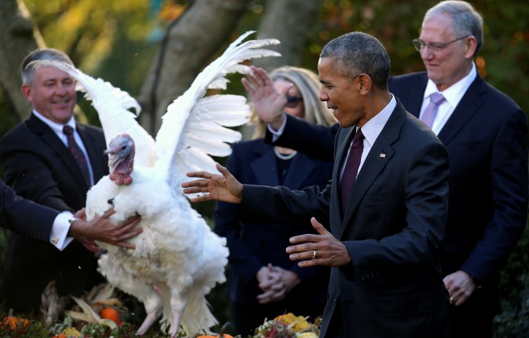 感恩节美国总统赦免火鸡的历史