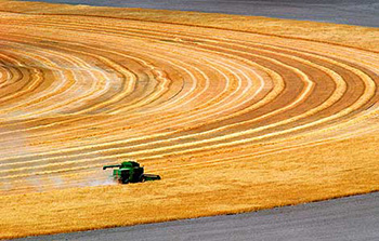 The trend of bulk agricultural products in 2017 depends on China.jpg