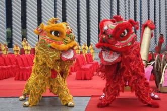 Chinese and English bilingual Chinese folk customs Issue 166: Southern lion dance.jpg