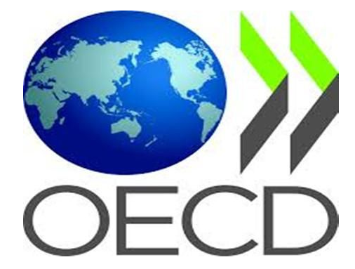 The OECD raises its global economic growth forecast for next year.jpg