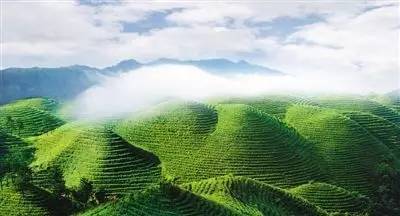 The State Council issued the 13th Five-Year Plan for Ecological Environment Protection.jpg