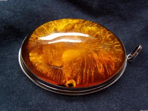 For the first time, Chinese scientists discovered dinosaur feather fossils in amber.jpg