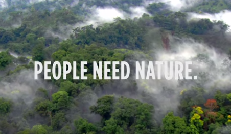 创意环保广告 热带雨林在诉说!