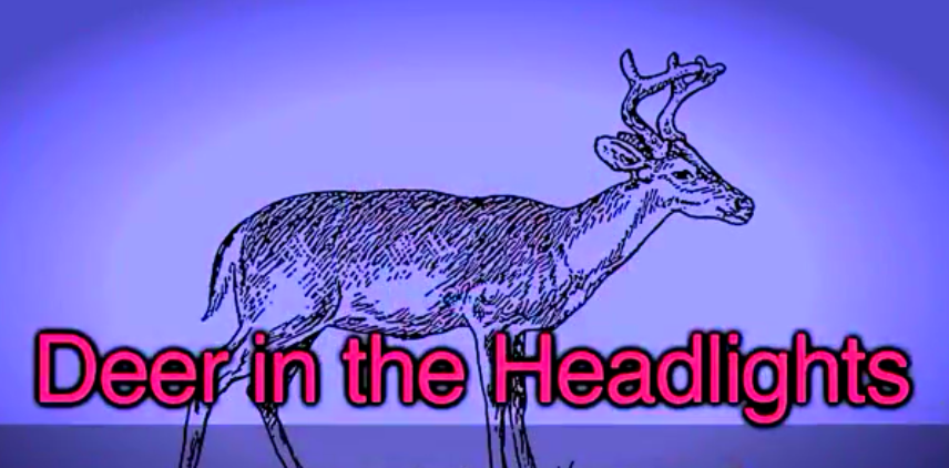 Deer in the Headlights 手足无措