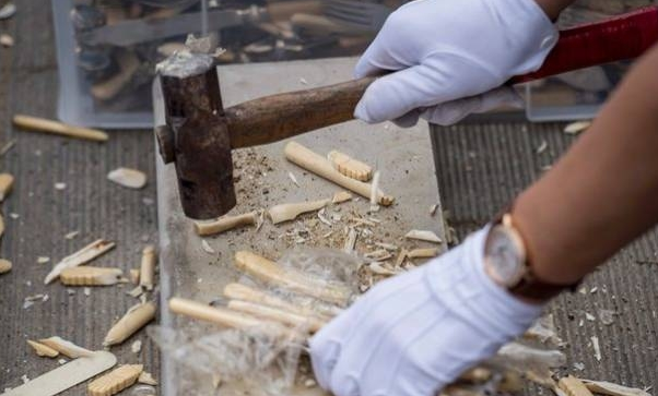 China's ban on ivory alone may worsen the situation of elephants.jpg