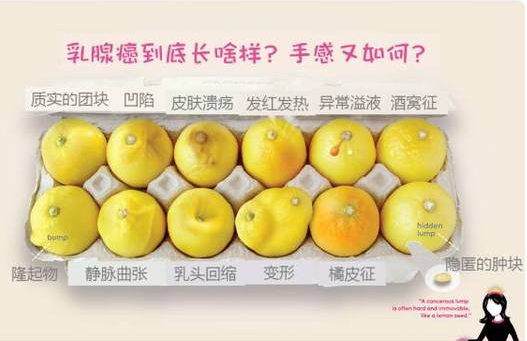 用12颗柠檬 让世界读懂了乳腺癌!