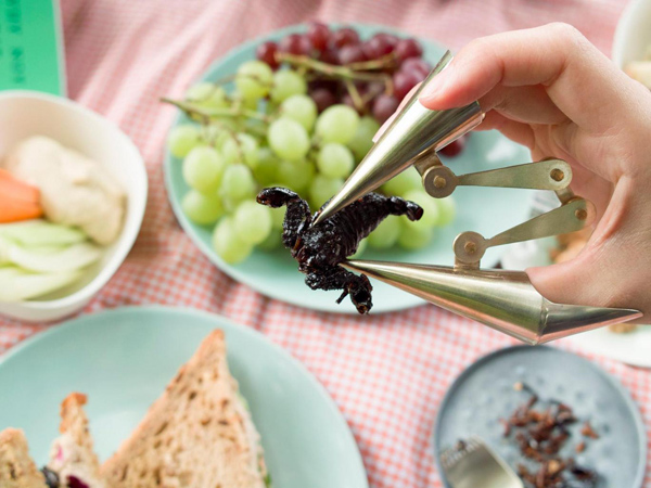 食虫餐具问世 吃虫子或有助解决食物短缺难题.jpg