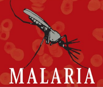 耐药性疟疾病例是对非洲的一个警示
