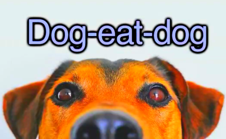 Dog Eat Dog 激烈竞争
