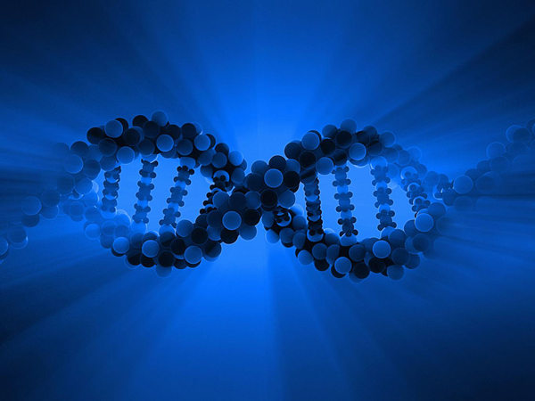 Scientists may modify human genes to treat genetic diseases.jpg