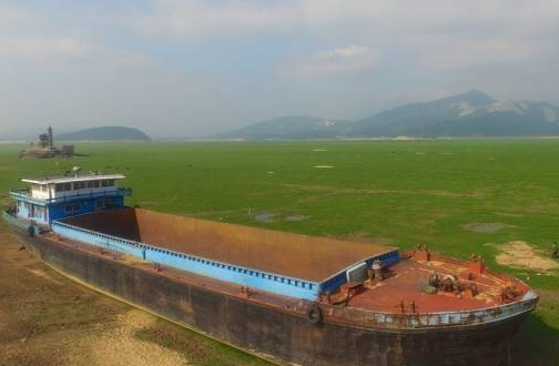 The global environmental crisis you may never have heard of.jpg
