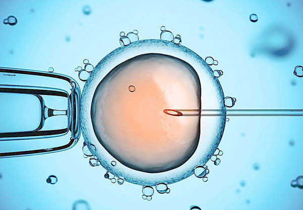 胚胎技术重大突破 未来也可人工制造？.jpg