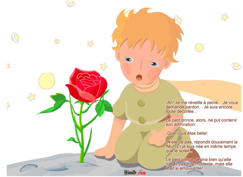 小王子和他的玫瑰花
