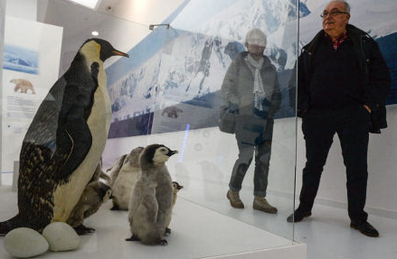全球首座极地博物馆在法国开幕 展景观之美