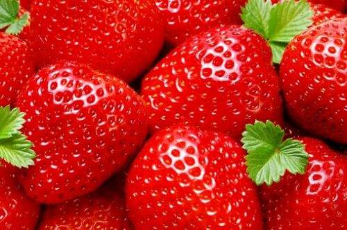 研究发现 草莓可致癌症、肥胖和不育!