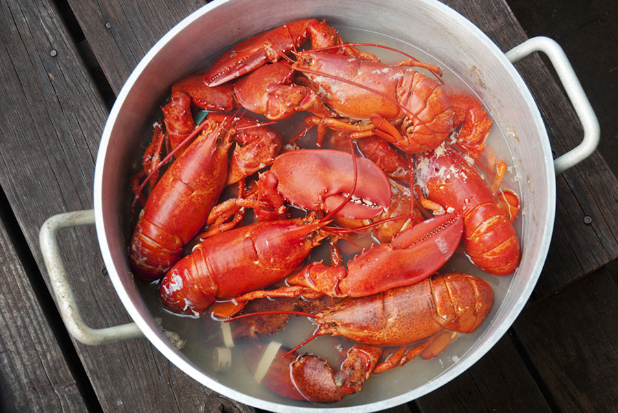 Chinese foodie rescued the American lobster industry.jpg